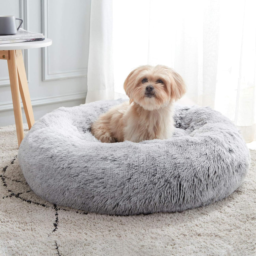 How Pet Beds Bring Comfort to Anxious Furry Friends