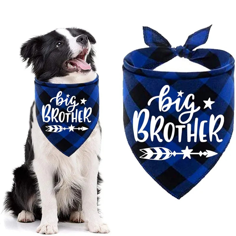 Big Brother & Big Sister Plaid Pet Bandana