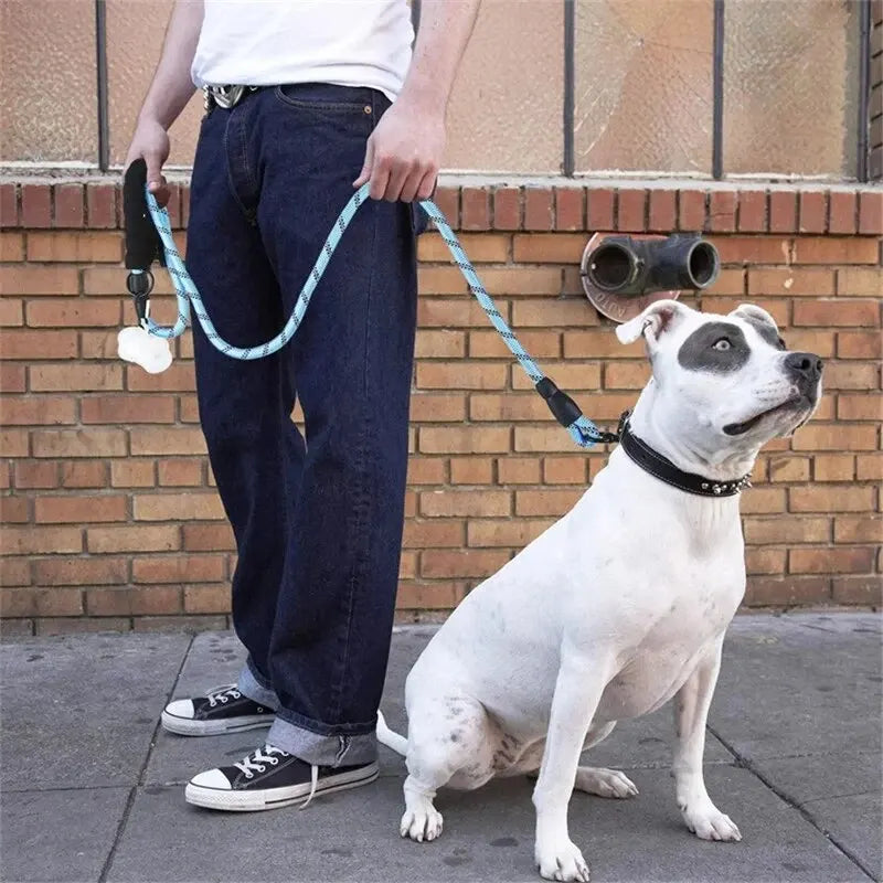 Heavy Duty Reflective Nylon Dog Leash