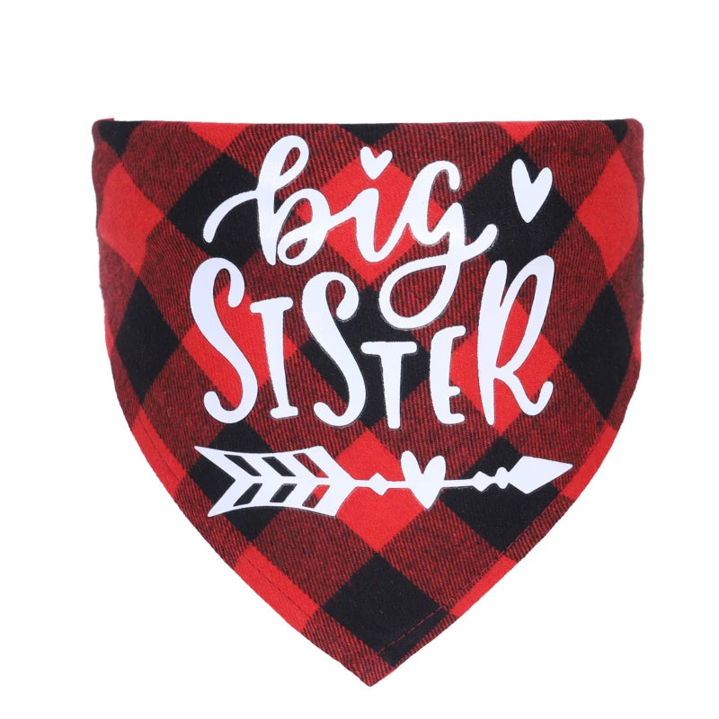 Big Brother & Big Sister Plaid Pet Bandana