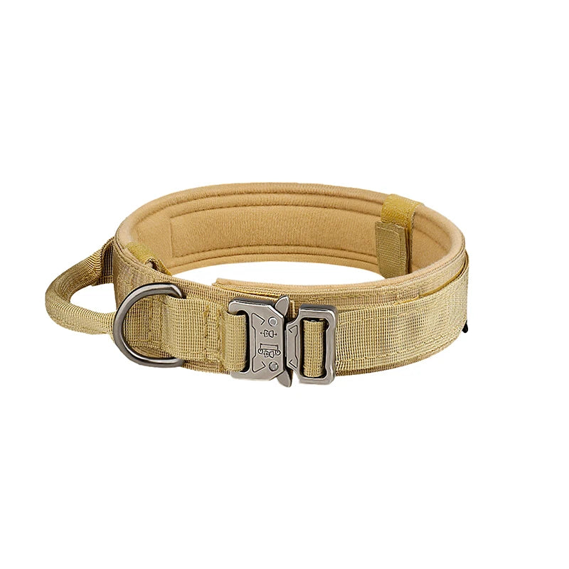 Nylon Dog Collar