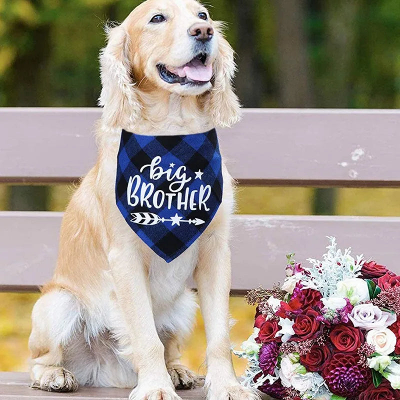 Big Brother & Big Sister Plaid Pet Bandana