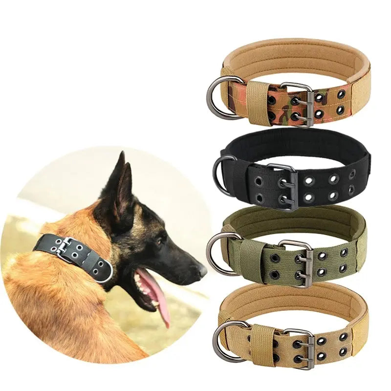 Quick Release Dog Collar