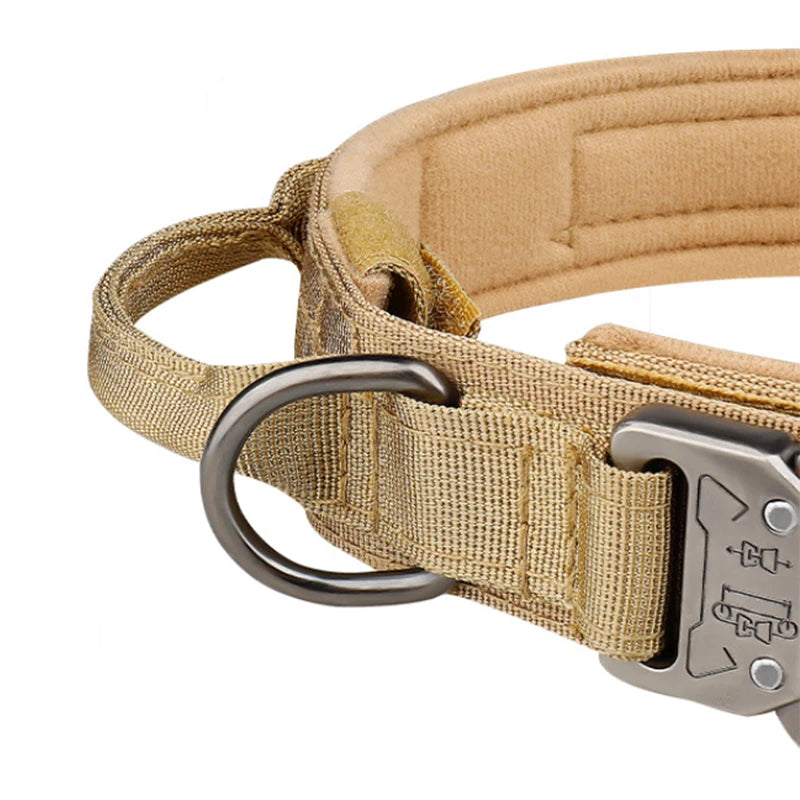 Nylon Dog Collar