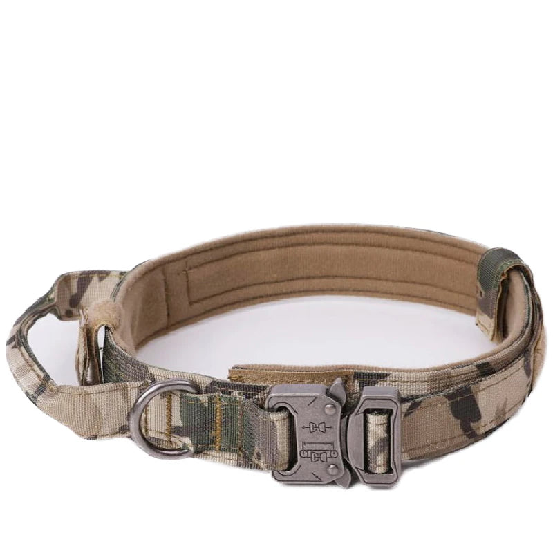 Tactical Training Dog Collar and Leash Set