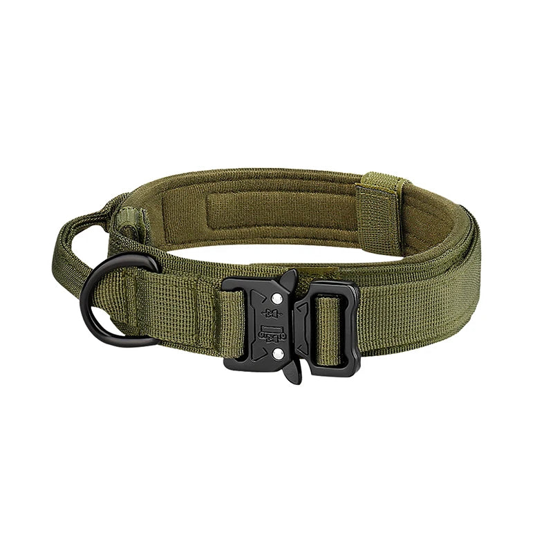 Nylon Dog Collar