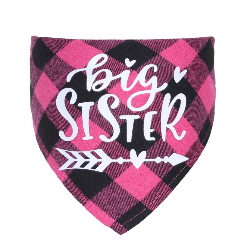 Big Brother & Big Sister Plaid Pet Bandana