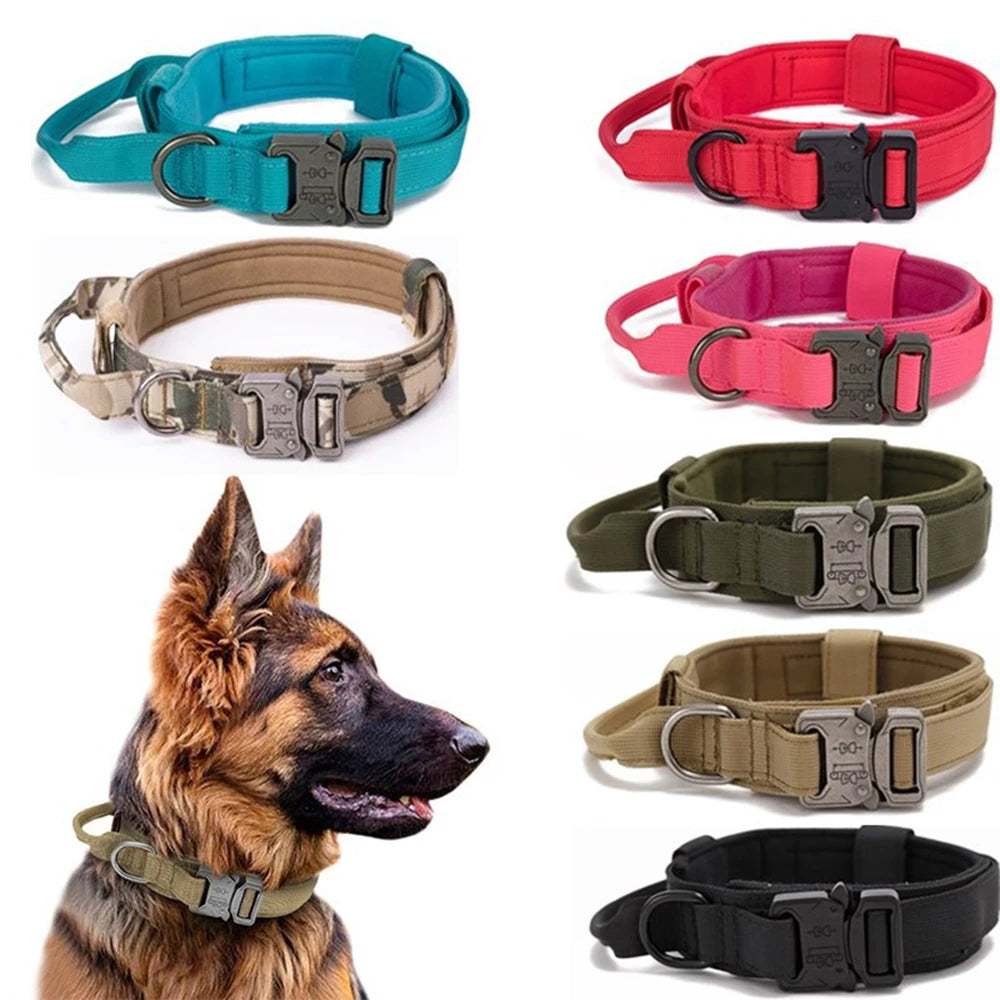 Tactical Training Dog Collar and Leash Set