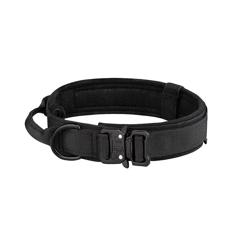 Nylon Dog Collar