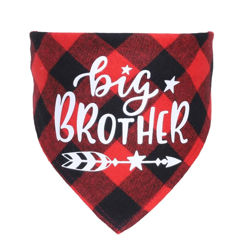 Big Brother & Big Sister Plaid Pet Bandana