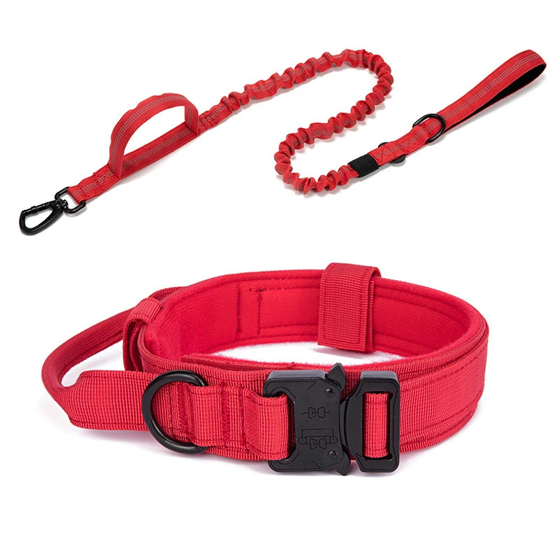 Tactical Training Dog Collar and Leash Set