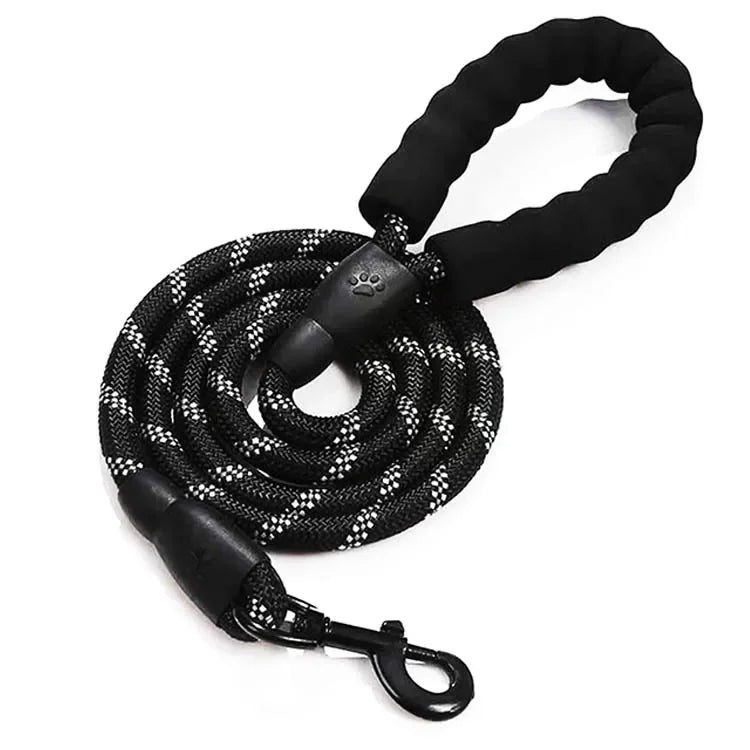 Reflective Breakaway Nylon Dog Leash