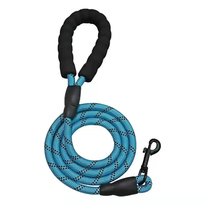 Reflective Breakaway Nylon Dog Leash