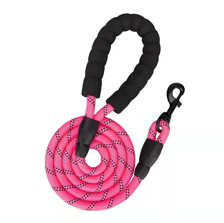 Reflective Breakaway Nylon Dog Leash