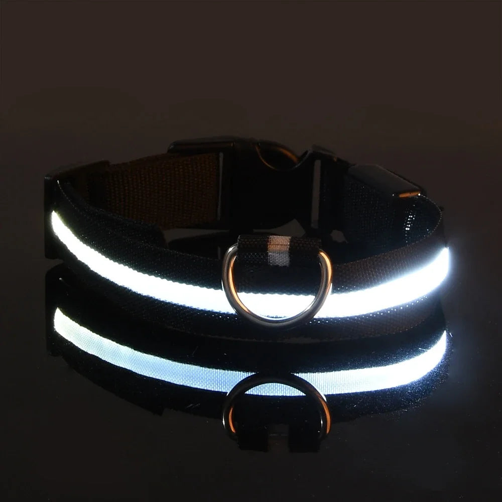 LED Night Safety Dog Collar