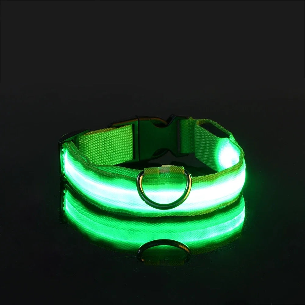 LED Night Safety Dog Collar