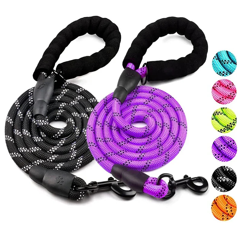 Reflective Breakaway Nylon Dog Leash