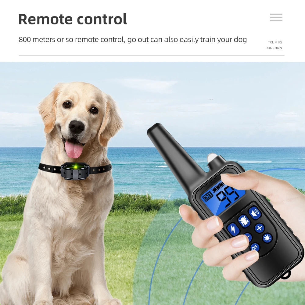 Electric Dog Training Collar