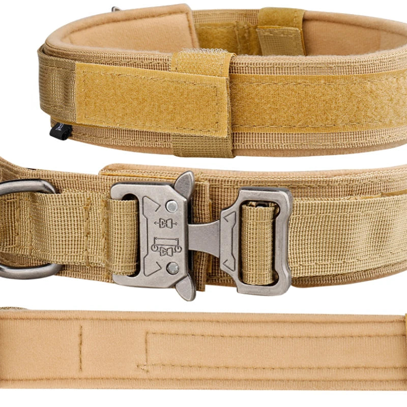 Nylon Dog Collar