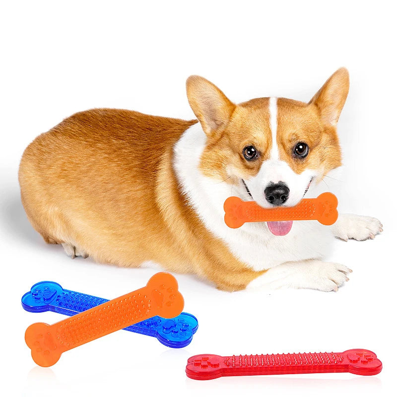 Rubber Bone Chew Toy