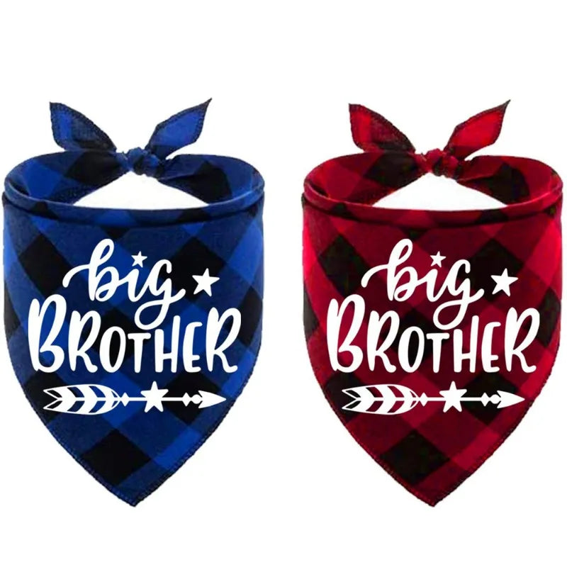 Big Brother & Big Sister Plaid Pet Bandana