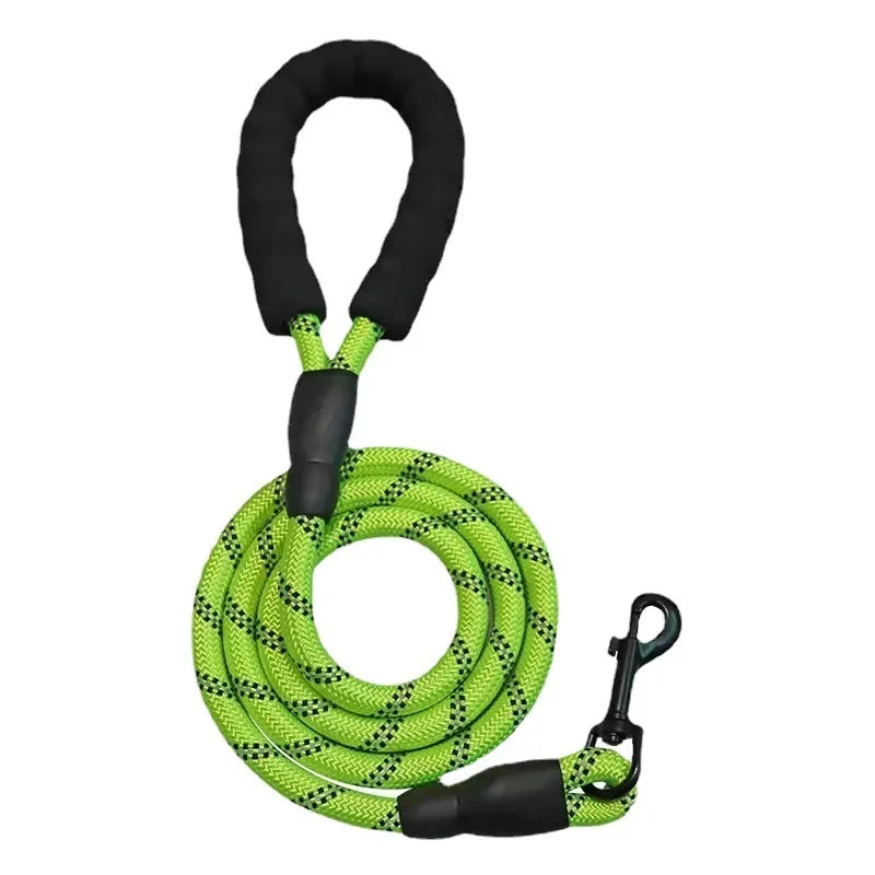 Reflective Breakaway Nylon Dog Leash