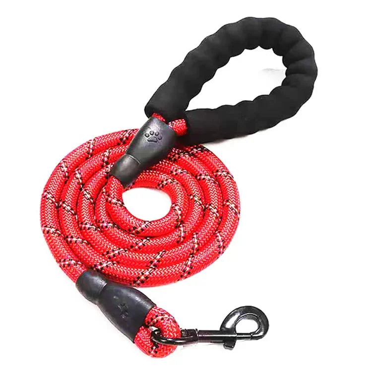 Reflective Breakaway Nylon Dog Leash