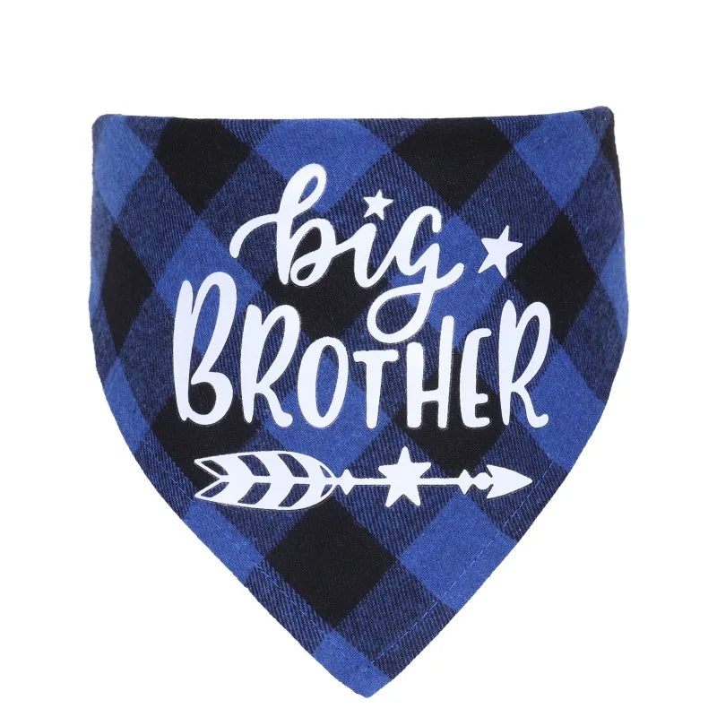 Big Brother & Big Sister Plaid Pet Bandana