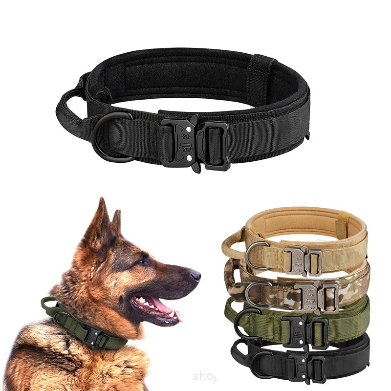 Nylon Dog Collar