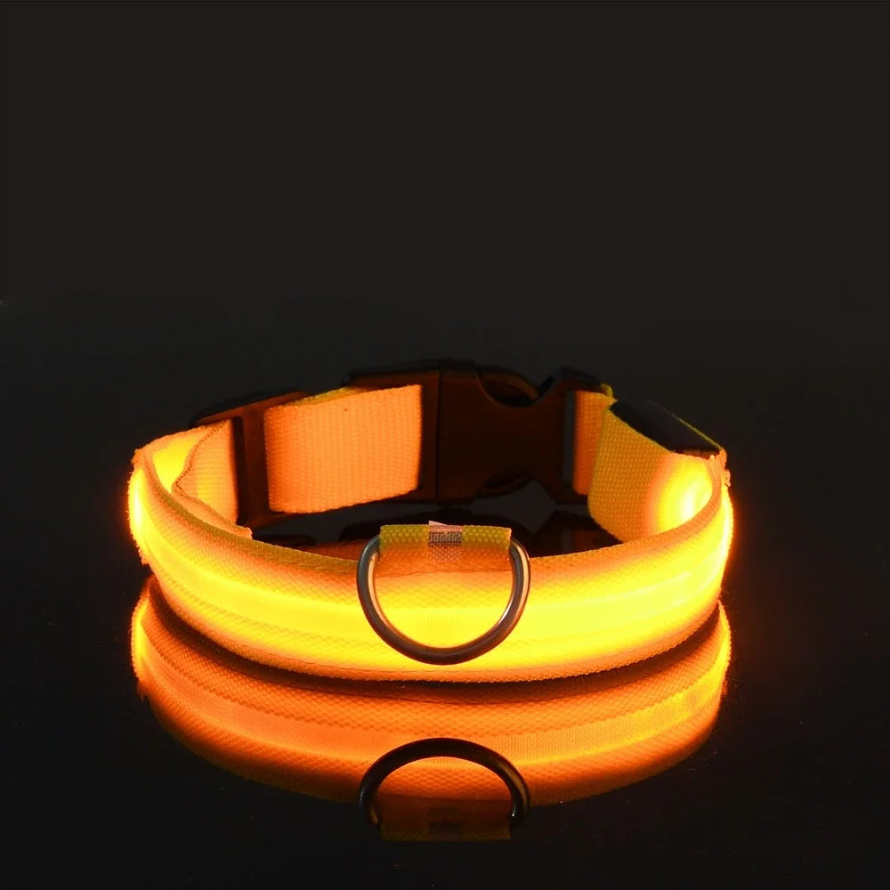 LED Night Safety Dog Collar